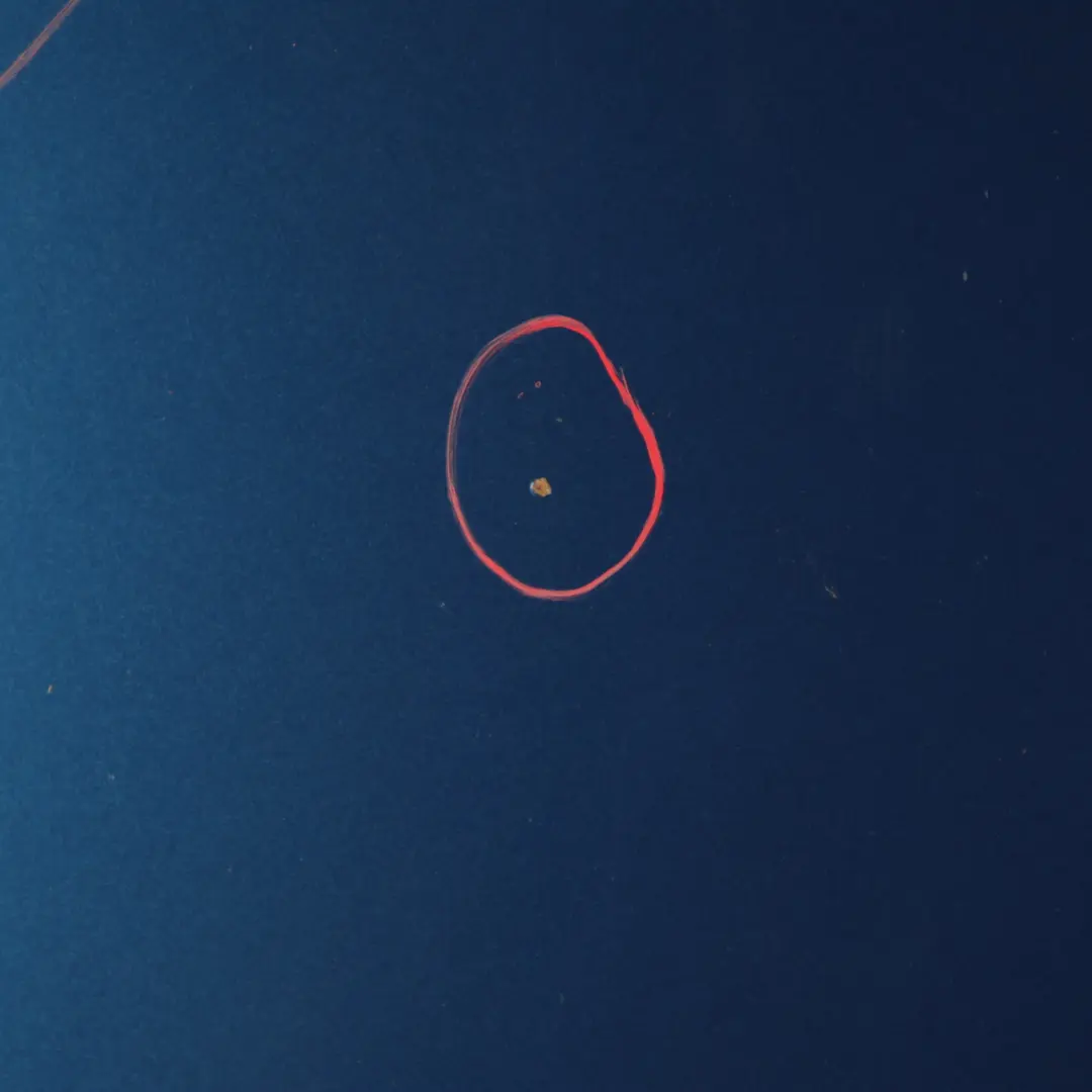 Hood Bonnet Front Engine Cover Le Mans Blau Blue Metallic - 381 to BMW E92 E93 with Part number 7168514 BMW E92 E93 Hood Bonnet Front Engine Cover Le Mans Blau Blue Metallic - 381 - SKU 7168514-LMB - Part number 7168514