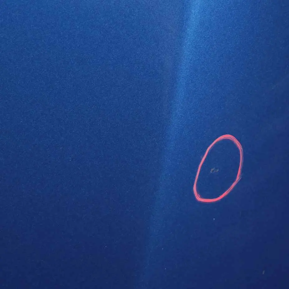 Hood Bonnet Front Engine Cover Le Mans Blau Blue Metallic - 381 to BMW E92 E93 with Part number 7168514 BMW E92 E93 Hood Bonnet Front Engine Cover Le Mans Blau Blue Metallic - 381 - SKU 7168514-LMB - Part number 7168514