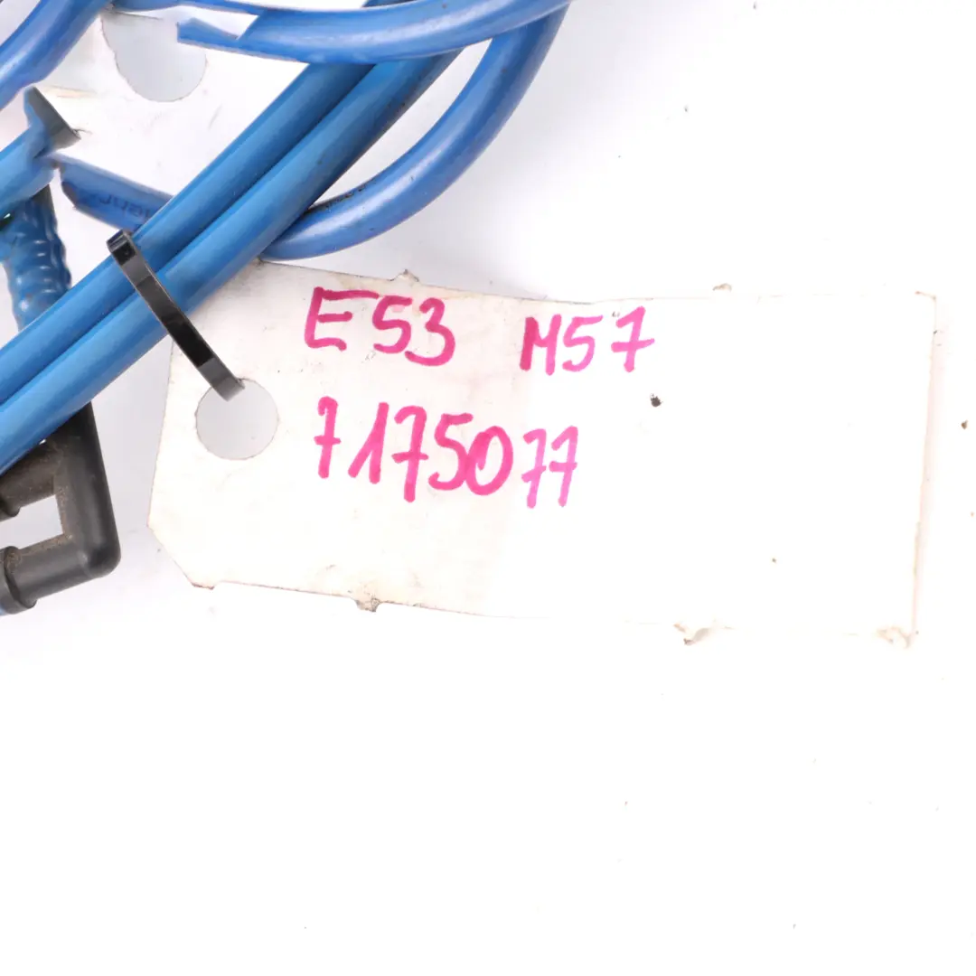 BMW X5 E53 Fuel Tank Supply Line Pipe Hose - SKU 7175077 - Part number 7175077