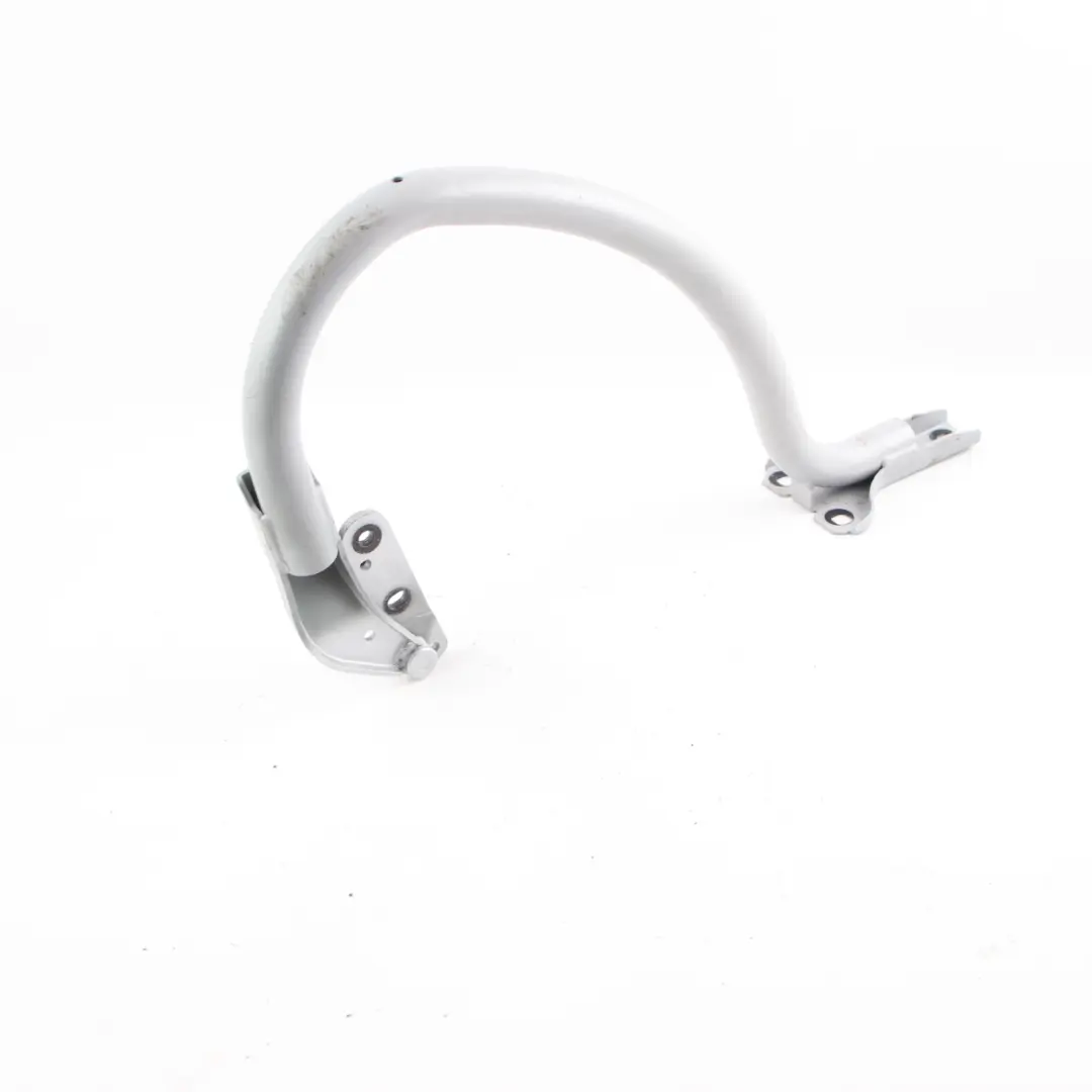 BMW E63 Braccio cerniera portellone bagagliaio sinistro Titansilber Silver - 354 - SKU 7175303-TS - Numero di parte 7175303