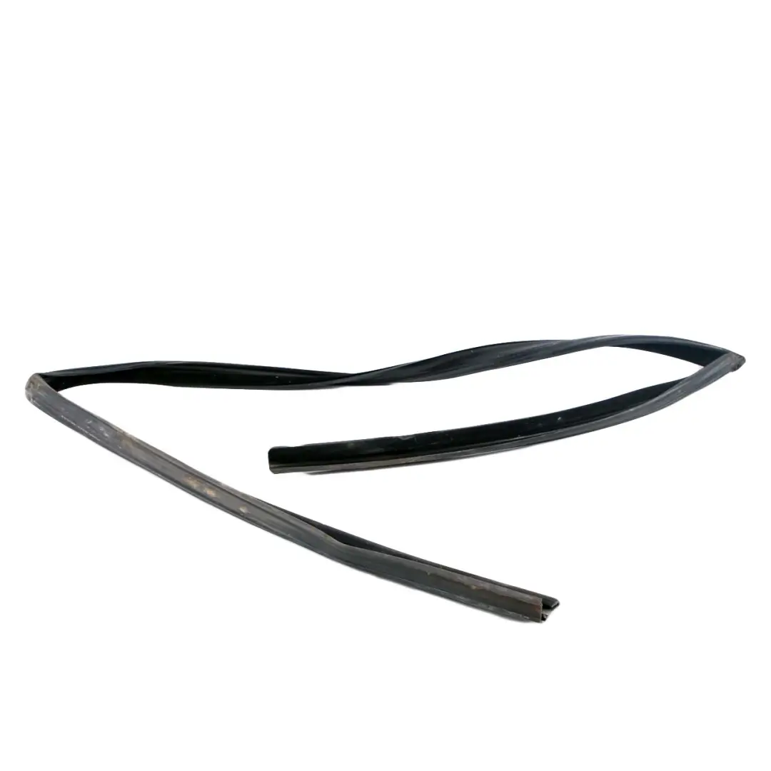 Delantero Izquierdo N/S Ventana Guía Sello Puerta para BMW F01 F02 F04 con número de pieza 7178009 BMW F01 F02 F04 Delantero Izquierdo N/S Ventana Guía Sello Puerta - SKU 7178009 - Número de pieza 7178009