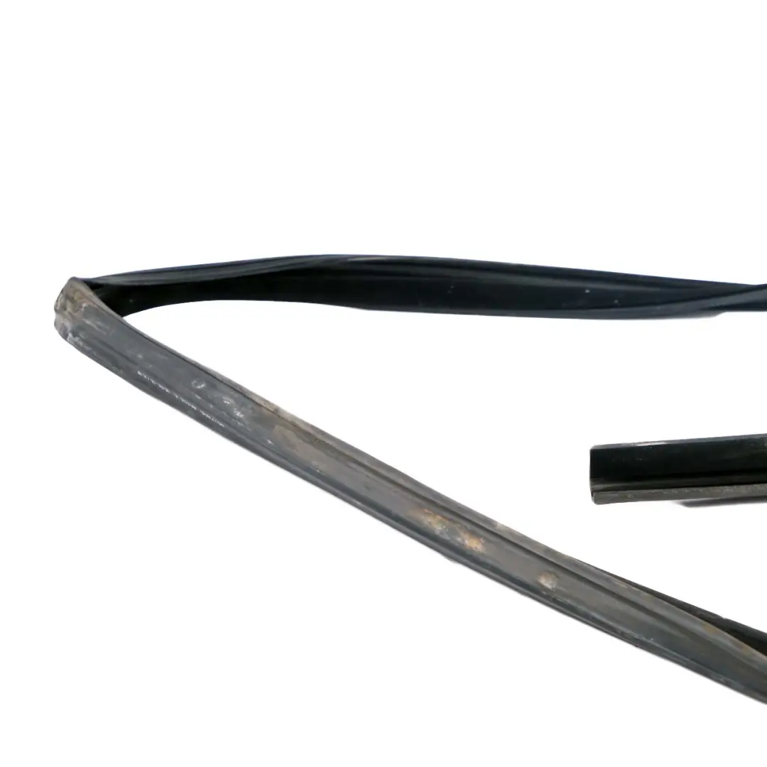 Delantero Izquierdo N/S Ventana Guía Sello Puerta para BMW F01 F02 F04 con número de pieza 7178009 BMW F01 F02 F04 Delantero Izquierdo N/S Ventana Guía Sello Puerta - SKU 7178009 - Número de pieza 7178009