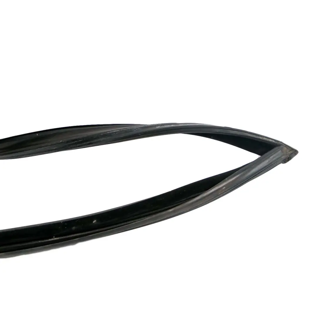 Guarnizione Guida Finestrino Anteriore Sinistro Porta per BMW F01 F02 F04 con numero di parte 7178009 BMW F01 F02 F04 Guarnizione Guida Finestrino Anteriore Sinistro Porta - SKU 7178009 - Numero di parte 7178009