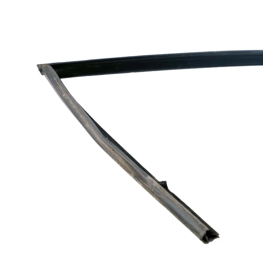 BMW 7 Series F01 F02 F04 Front Right O/S Window Guide Seal Door - SKU 7178010 - Part number 7178010