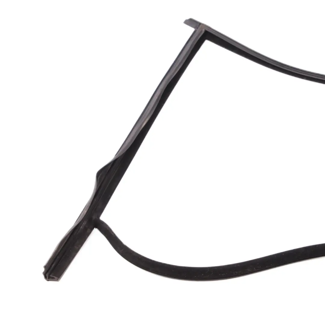 Guarnizione Di Tenuta Del Finestrino BMW F01 F04 Posteriore Sinistro per con numero di parte 7178021 Guarnizione Di Tenuta Del Finestrino BMW F01 F04 Posteriore Sinistro - SKU 7178021 - Numero di parte 7178021