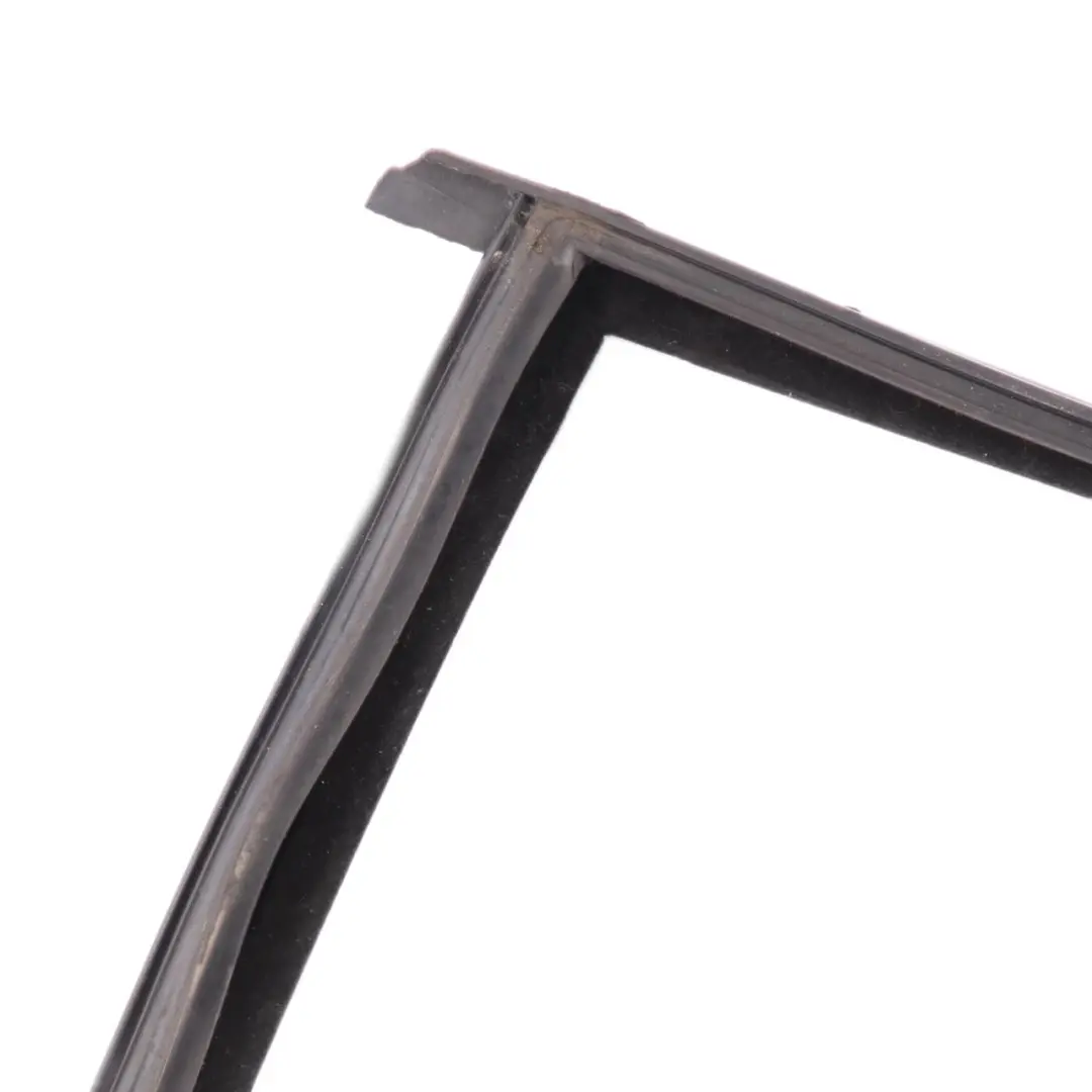  Guarnizione Di Tenuta Del Finestrino BMW F01 F04 Posteriore Sinistro - SKU 7178021 - Numero di parte 7178021