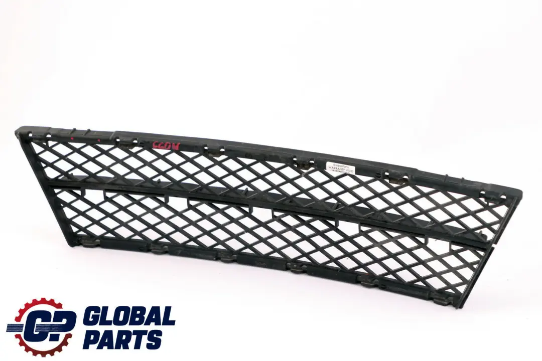 BMW 5 Series E60 E61 LCI Front Bumper Lateral Centre Grill Grid - SKU 7178115 - Part number 7178115