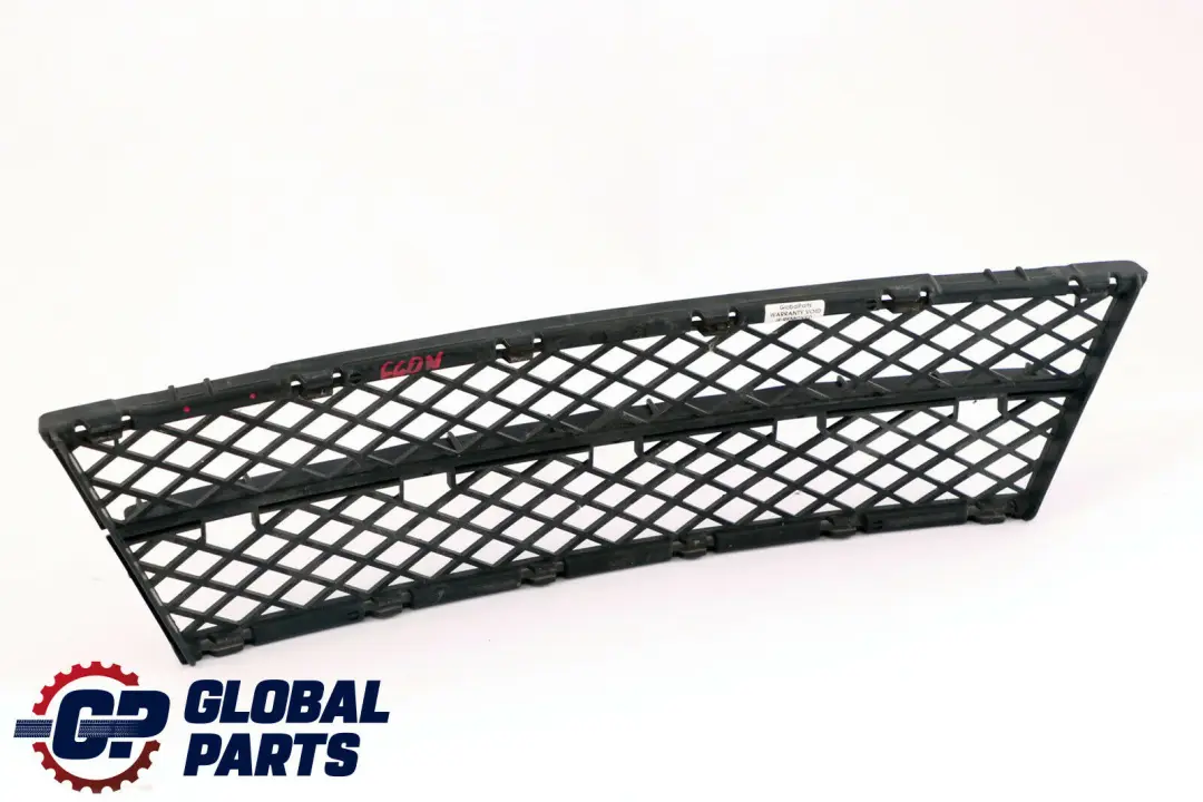 BMW 5 Series E60 E61 LCI Front Bumper Lateral Centre Grill Grid - SKU 7178115 - Part number 7178115