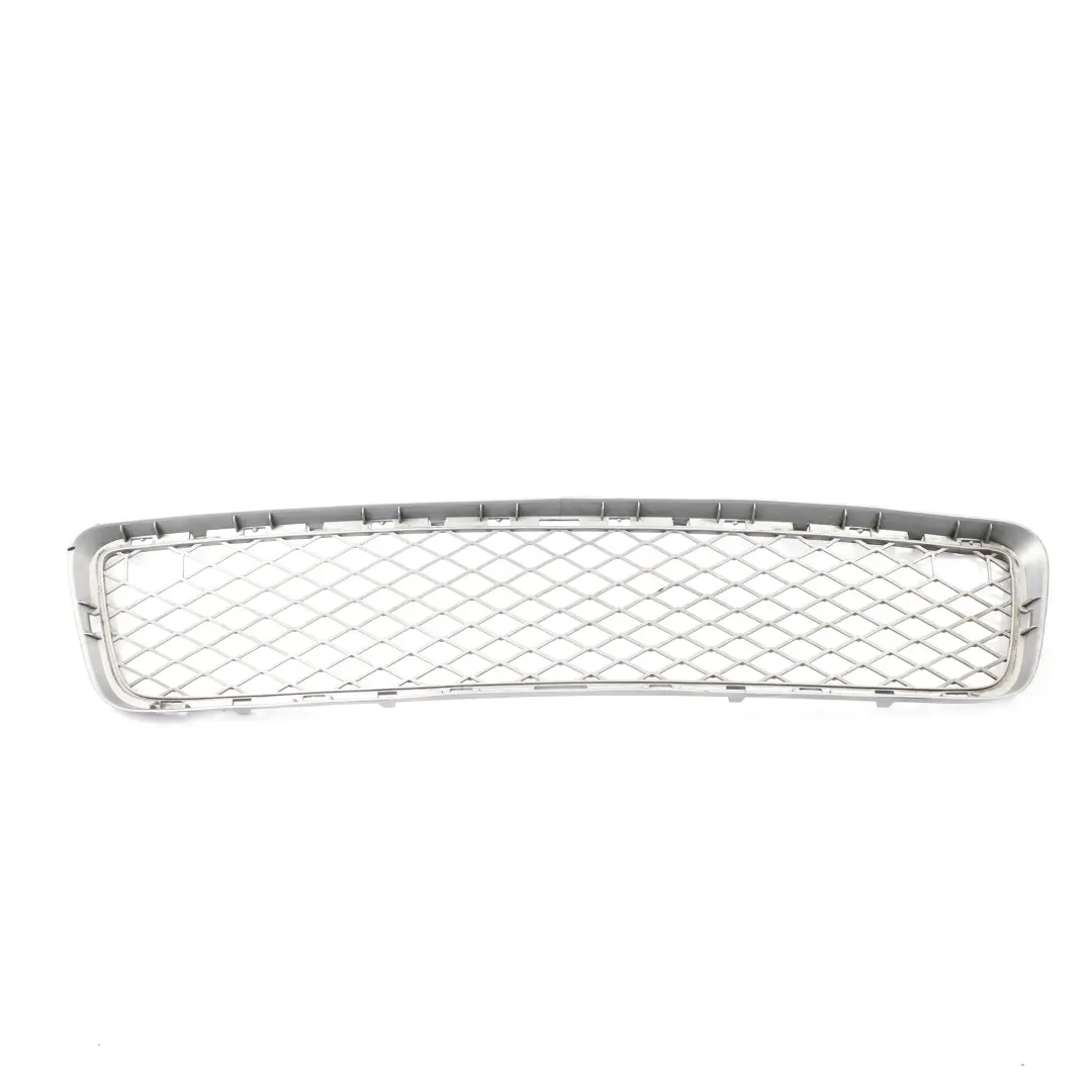 BMW X6 E71 Sport Front Bumper Grille Lower Middle Grill Trim Panel Mesh - SKU 7179851 - Part number 7179851