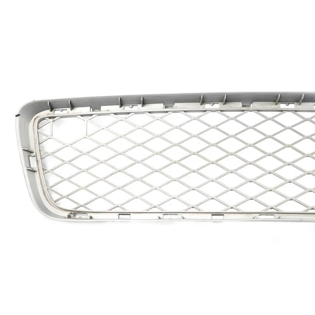BMW X6 E71 Sport Front Bumper Grille Lower Middle Grill Trim Panel Mesh - SKU 7179851 - Part number 7179851