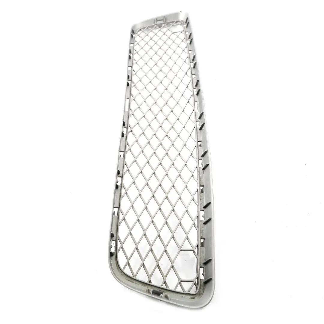 Paraurti Anteriore Griglia Inferiore Medio Griglia Mesh per BMW X6 E71 Sport con numero di parte 7179851 BMW X6 E71 Sport Paraurti Anteriore Griglia Inferiore Medio Griglia Mesh - SKU 7179851 - Numero di parte 7179851