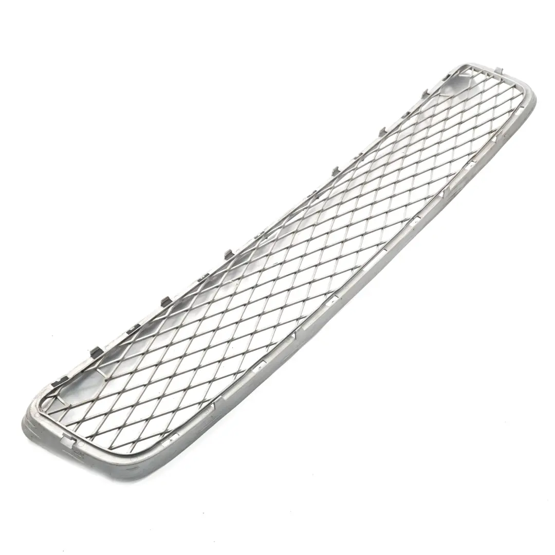BMW X6 E71 Sport Front Bumper Grille Lower Middle Grill Trim Panel Mesh - SKU 7179851 - Part number 7179851