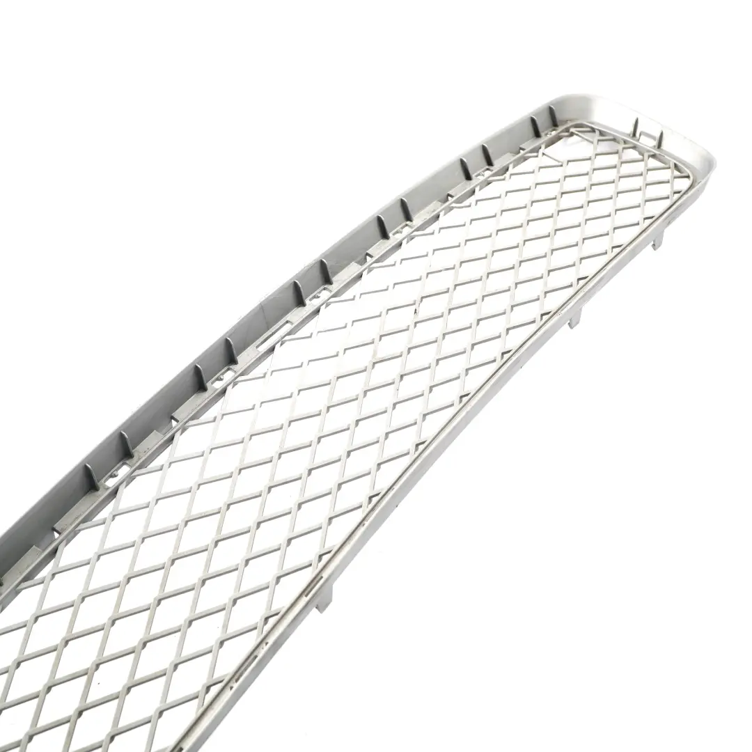 BMW X6 E71 Sport Front Bumper Grille Lower Middle Grill Trim Panel Mesh - SKU 7179851 - Part number 7179851