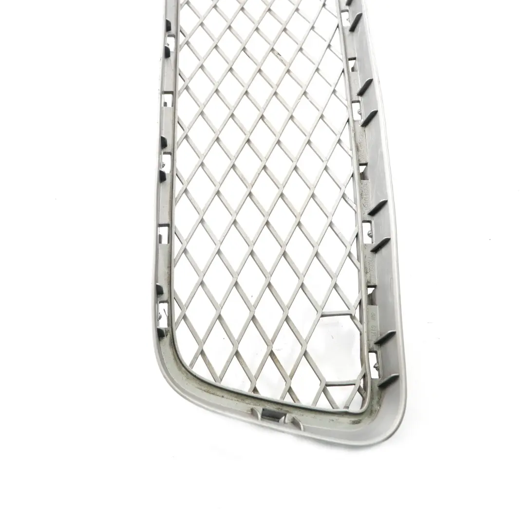 BMW X6 E71 Sport Front Bumper Grille Lower Middle Grill Trim Panel Mesh - SKU 7179851 - Part number 7179851