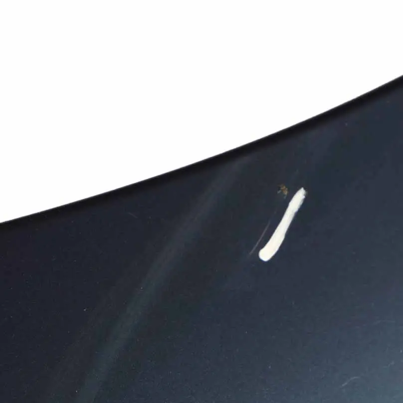 BMW Z4 E85 Hood Bonnet Cover Panel Toledoblau Toledo Blue Metallic - 482 - SKU 7180228-TDB - Part number 7180228