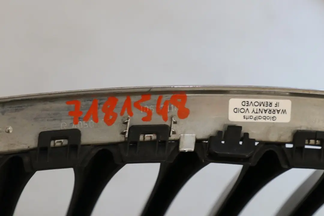 Reihe E89 Frontstoßstange Ziergitter rechts ALU MATT 5113 für BMW Z4 mit Teilenummer 7181548 BMW Z4 Reihe E89 Frontstoßstange Ziergitter rechts ALU MATT 5113 - SKU 7181548 - Teilenummer 7181548