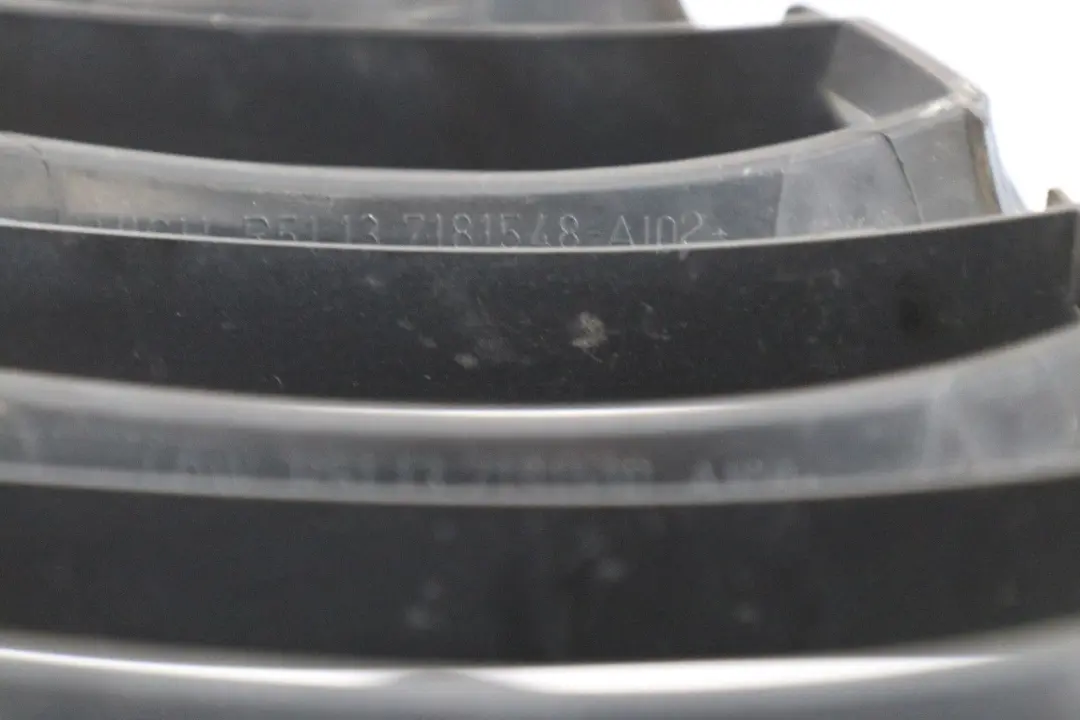 Reihe E89 Frontstoßstange Ziergitter rechts ALU MATT 5113 für BMW Z4 mit Teilenummer 7181548 BMW Z4 Reihe E89 Frontstoßstange Ziergitter rechts ALU MATT 5113 - SKU 7181548 - Teilenummer 7181548