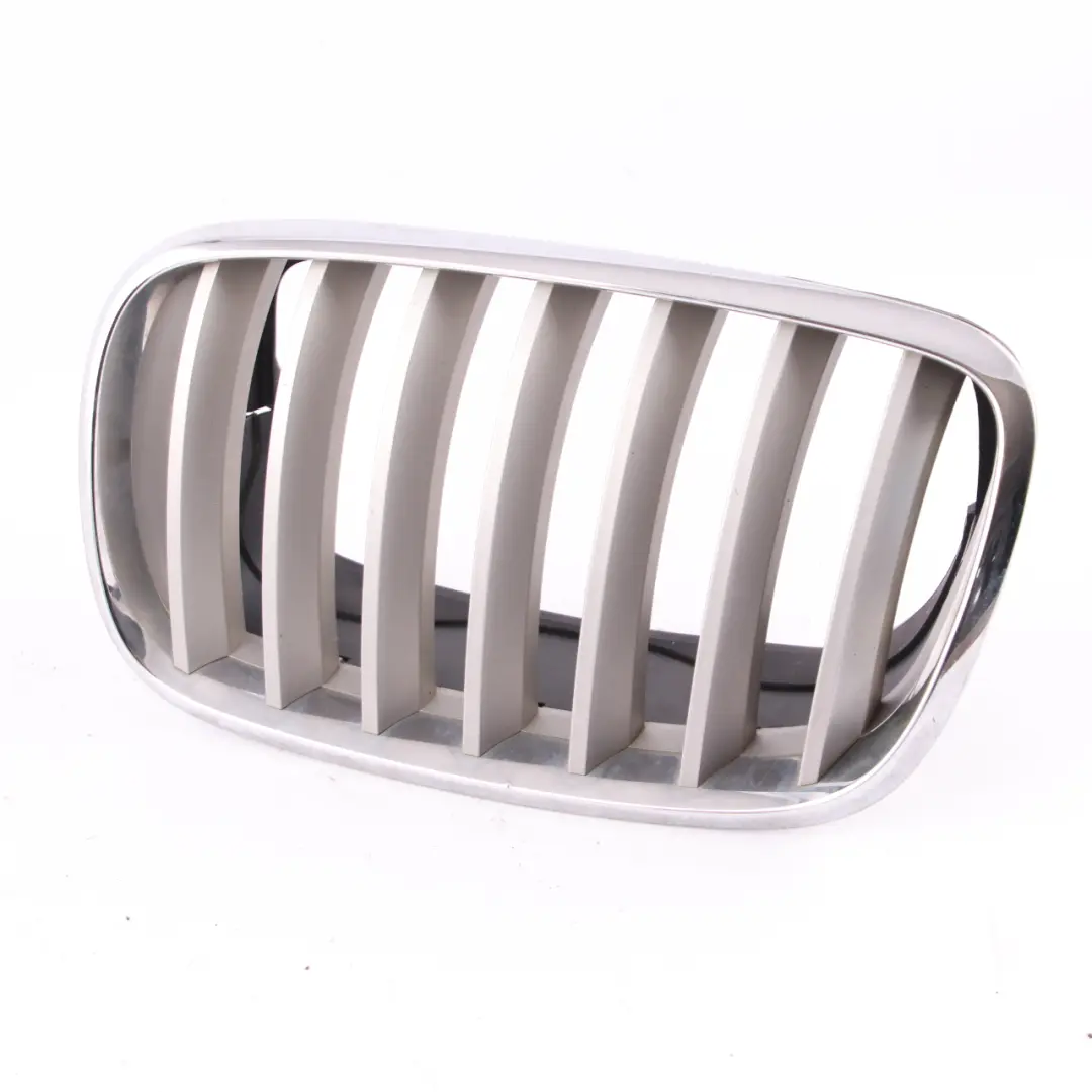 Front Bumper Grille Kidney Radiator Air Inlet Left N/S Chrome to BMW X5 E70 with Part number 7185223 BMW X5 E70 Front Bumper Grille Kidney Radiator Air Inlet Left N/S Chrome - SKU 7185223-1 - Part number 7185223