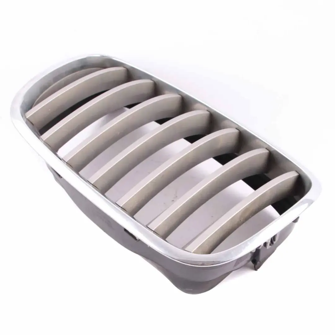 BMW X5 E70 Parachoques Delantero Rejilla Riñón Radiador Derecha Cromo - SKU 7185224-1 - Número de pieza 7185224