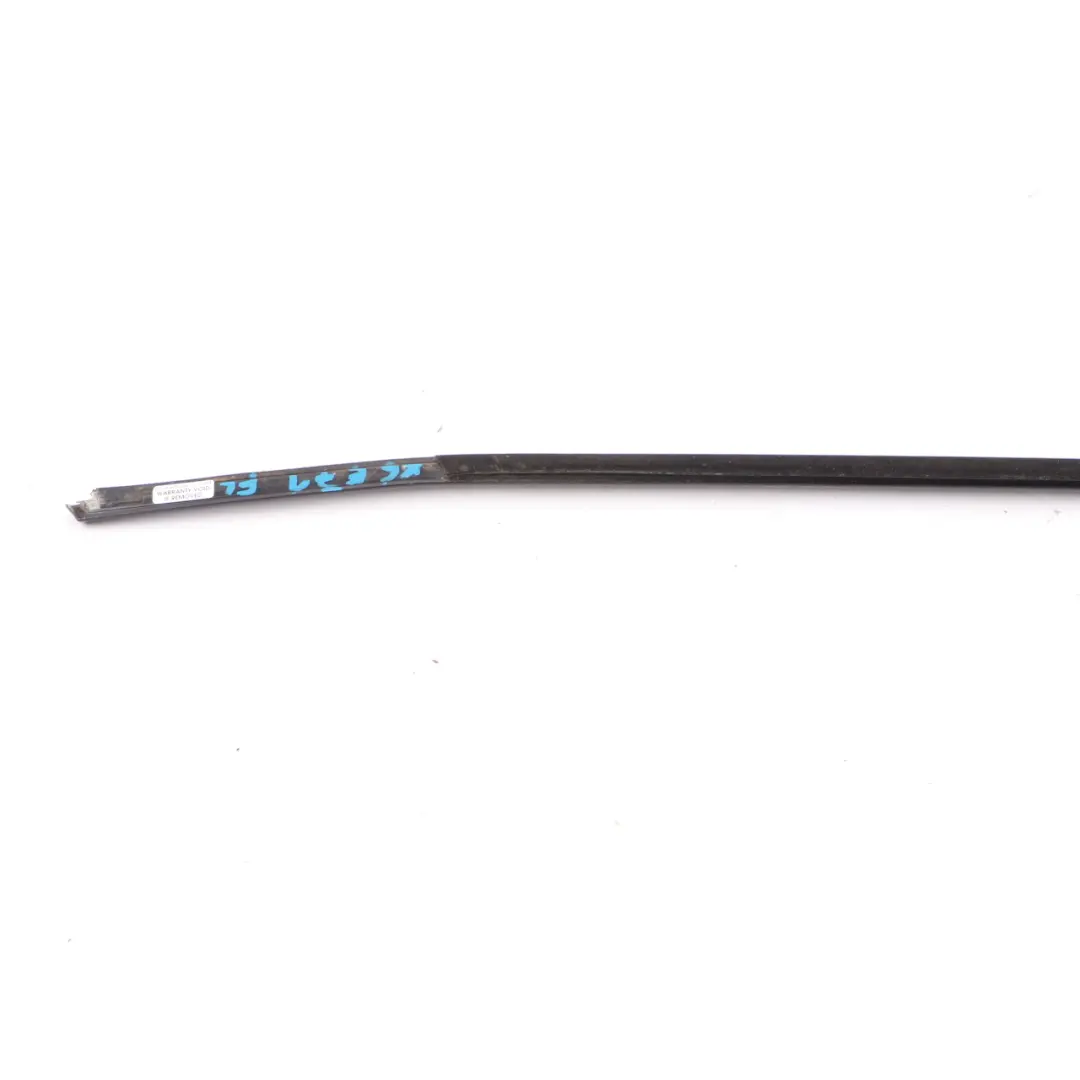 BMW X6 E71 Channel Cover Trim Exterior Door Front Left N/S High Gloss - SKU 7187215 - Part number 7187215