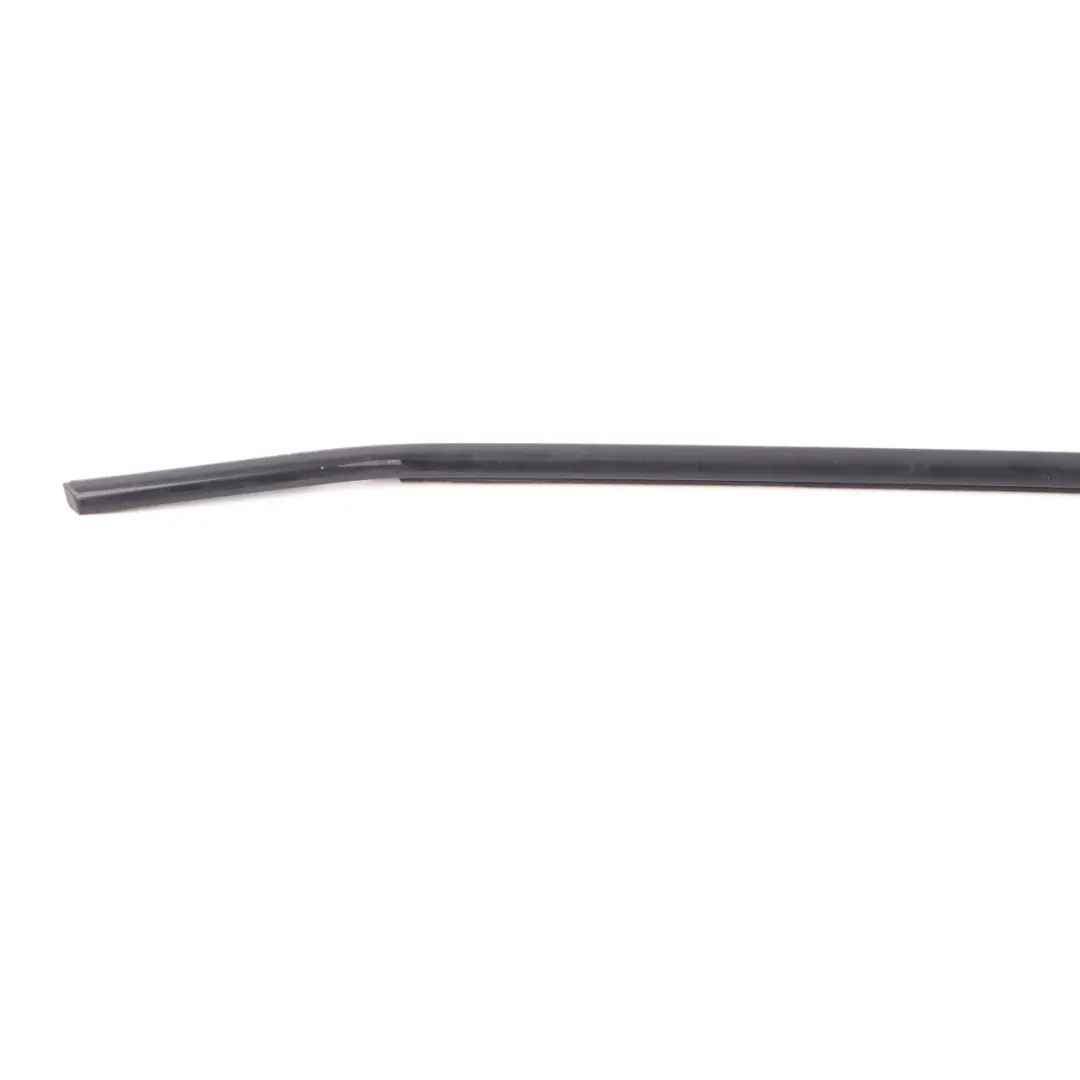 BMW X6 E71 Canal Cubre Exterior Puerta Delantera Derecha Alto Brillo - SKU 7187216 - Número de pieza 7187216