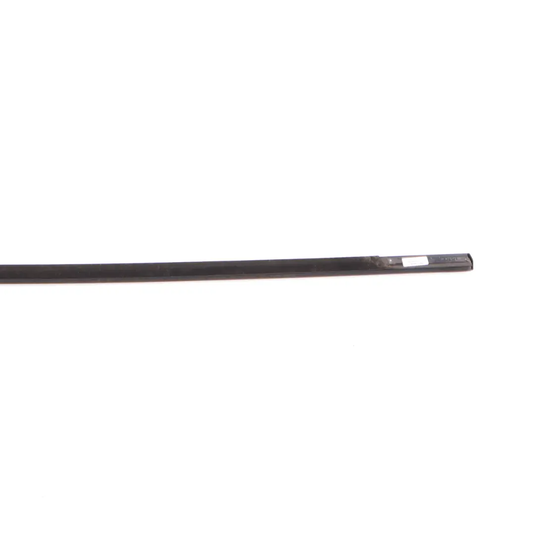 BMW X6 E71 Door Weatherstrip Outer Rear Left N/S Window Strip High Gloss - SKU 7187217 - Part number 7187217