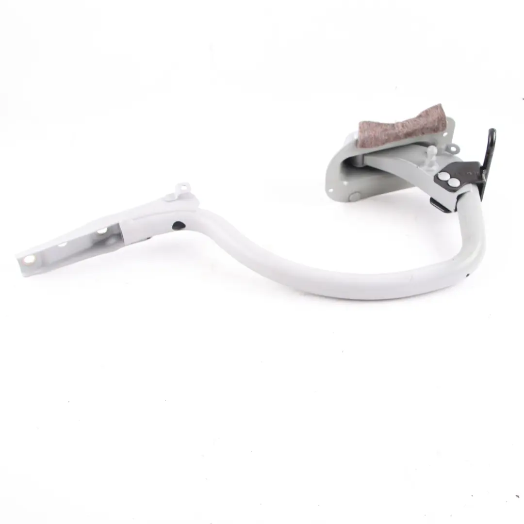 BMW F01 Hinge Trunk Lid Boot Tailgate Left N/S Titansilber Silver 354 7185254 - SKU 7189257-TS - Part number 7189257