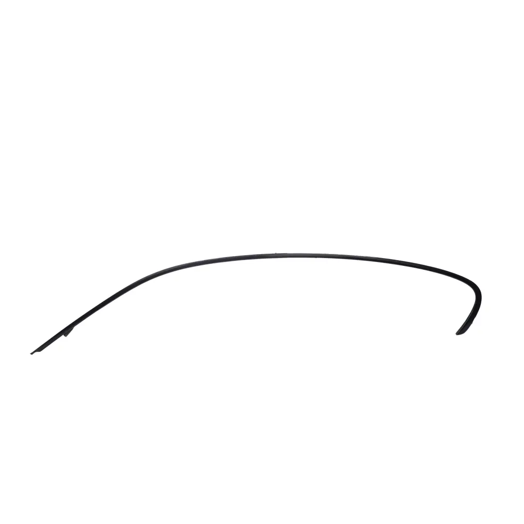 BMW 1 E81 Left Roof Frame Strip N/S Black Glanzschwarz Shadow Line - SKU 7190869 - Part number 7190869