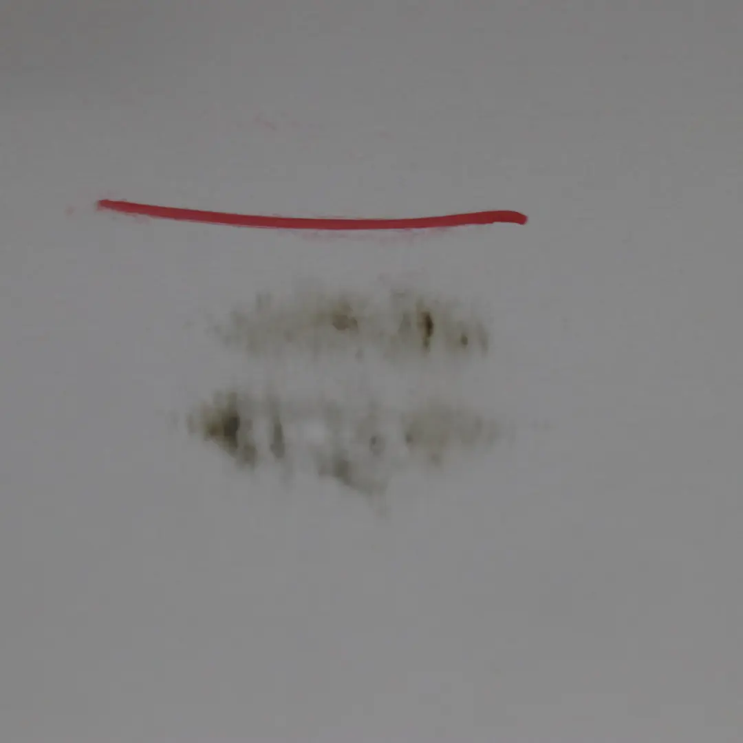 Puerta Delantera Izquierda Titansilber Titan Silver Metallic - 354 para BMW E87 8 con número de pieza 7191011 BMW E87 8 Puerta Delantera Izquierda Titansilber Titan Silver Metallic - 354 - SKU 7191011-TS6 - Número de pieza 7191011