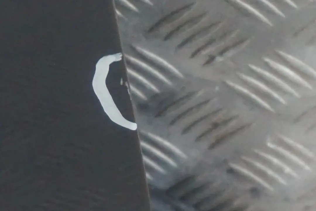 BMW E87 Puerta Delantera Derecha Quarzblau Azul Blau Metallic - A18 - SKU 7191012-QB19 - Número de pieza 7191012