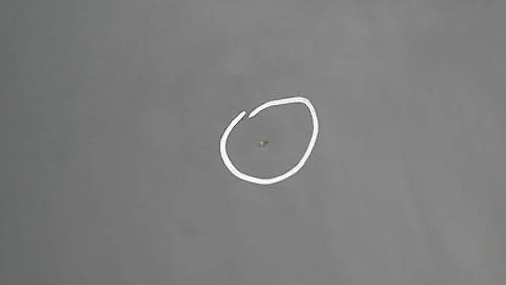 Door Front Right O/S Quarzblau Blue Blau Metallic A18 to BMW 1 SERIES E87 E87N LCI with Part number 41517191012 BMW 1 SERIES E87 E87N LCI Door Front Right O/S Quarzblau Blue Blau Metallic A18 - SKU 7191012-QB1 - Part number 41517191012