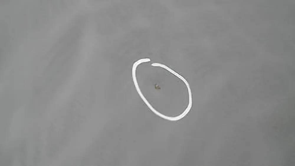 Porta anteriore destra Quarzblau Blu Metallico A18 per BMW E87 LCI con numero di parte 41517191012 BMW E87 LCI Porta anteriore destra Quarzblau Blu Metallico A18 - SKU 7191012-QB1 - Numero di parte 41517191012