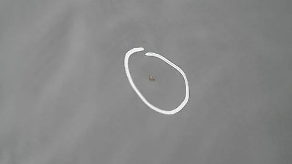 BMW E87 LCI Porta anteriore destra Quarzblau Blu Metallico A18 - SKU 7191012-QB1 - Numero di parte 41517191012