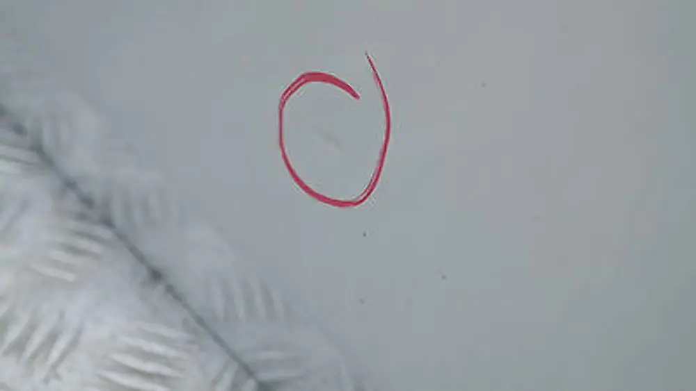 Door front right O/S Titansilber Silber Silver Metalic to BMW 1 SERIES E87 E87N LCI with Part number 41517191012 BMW 1 SERIES E87 E87N LCI Door front right O/S Titansilber Silber Silver Metalic - SKU 7191012 -TS14 - Part number 41517191012