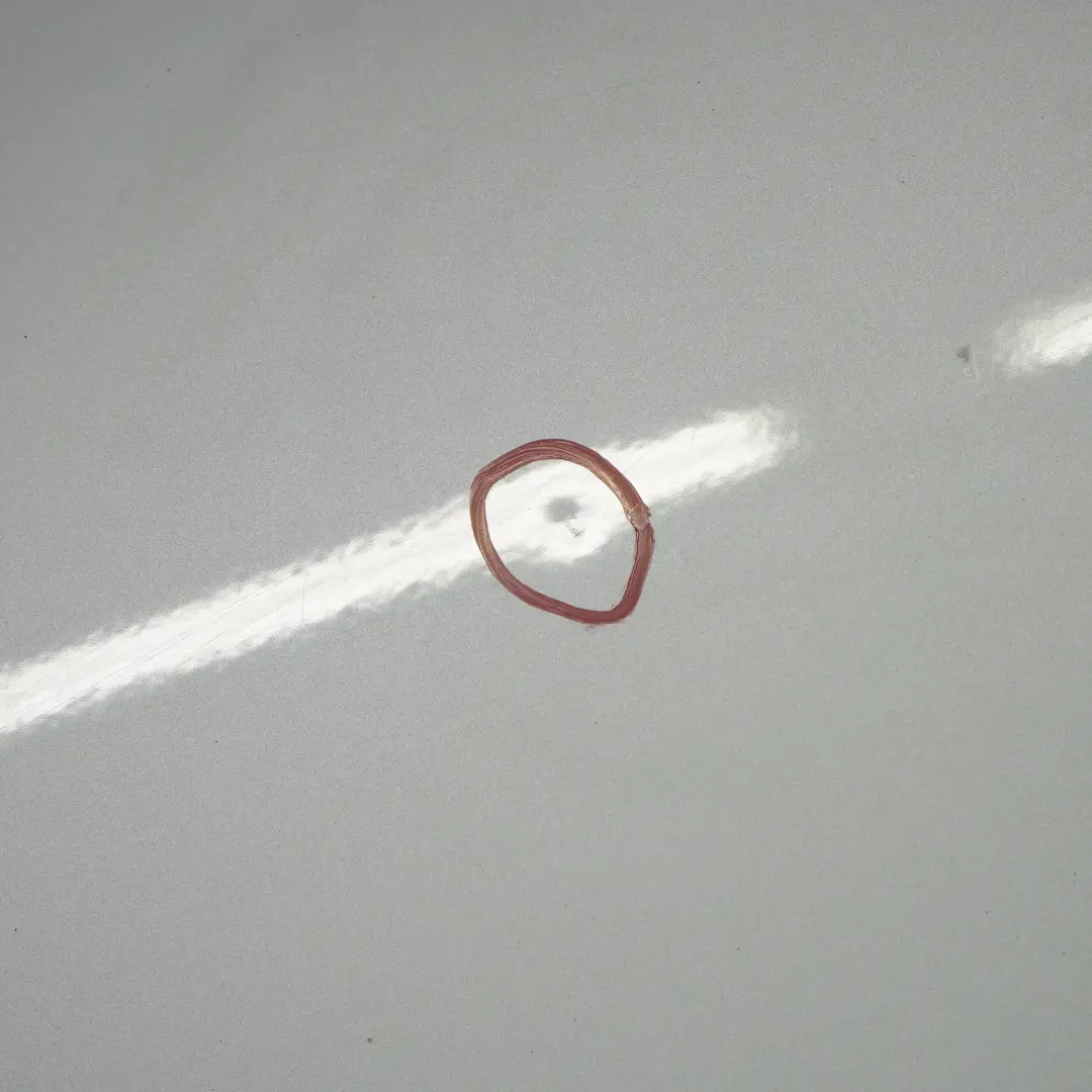 Door Front Right O/S Titansilber Titan Silver Metallic - 354 to BMW E87 with Part number 7191012 BMW E87 Door Front Right O/S Titansilber Titan Silver Metallic - 354 - SKU 7191012-TS3 - Part number 7191012