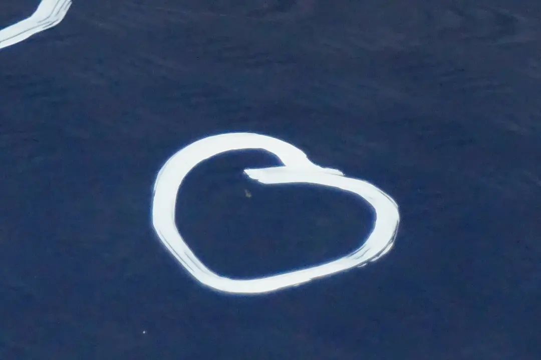 Cote Conducteur Porte Arriere Gauche Bleu de Sydney Bleu A19 pour BMW E87 à propos du numéro de pièce 7191017 BMW E87 Cote Conducteur Porte Arriere Gauche Bleu de Sydney Bleu A19 - SKU 7191017-SYD12 - Numéro de pièce 7191017