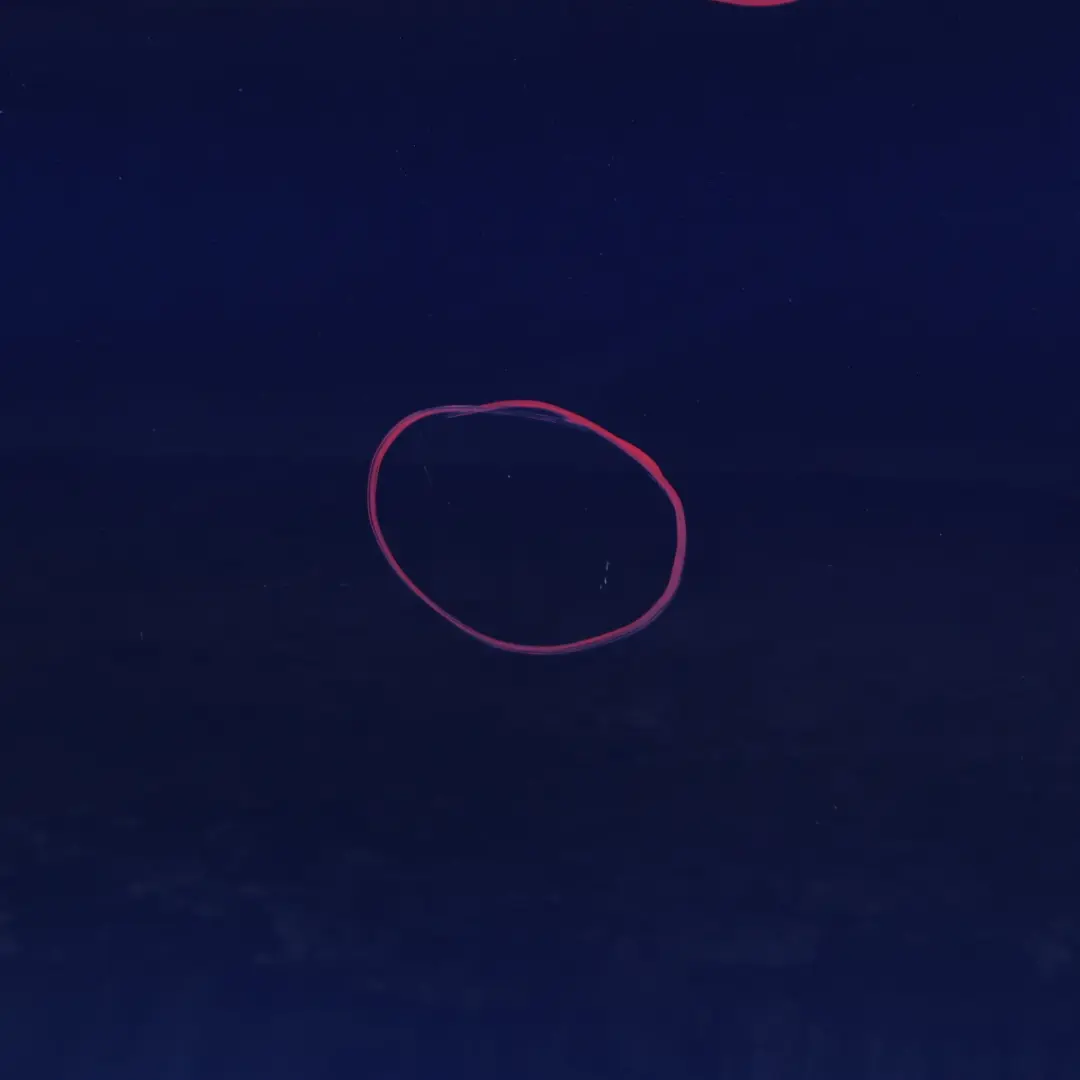 Door Rear Right O/S Montegoblau Montego Blue Metallic - A51 to BMW E87 E87N with Part number 41527191018 BMW E87 E87N Door Rear Right O/S Montegoblau Montego Blue Metallic - A51 - SKU 7191018-MTB3 - Part number 41527191018