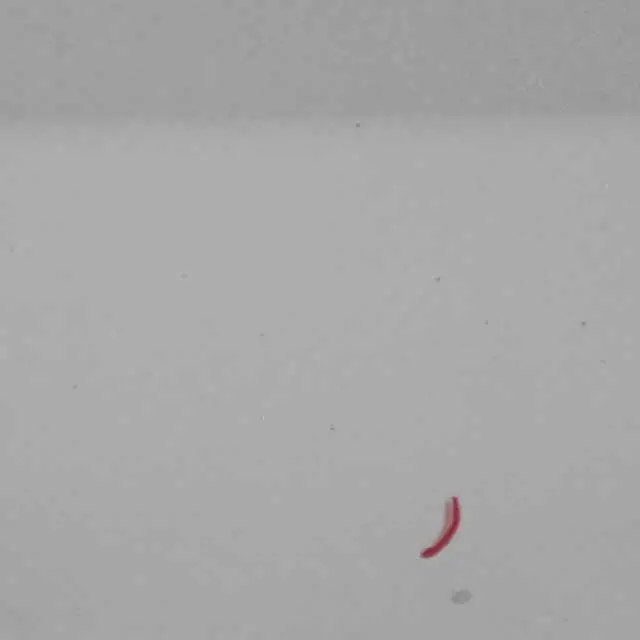 Drzwi Prawe Tylne Tył Titansilber Srebrne do BMW E87 o numerze 7191018 BMW E87 Drzwi Prawe Tylne Tył Titansilber Srebrne - SKU 7191018-TS3 - Numer Części 7191018