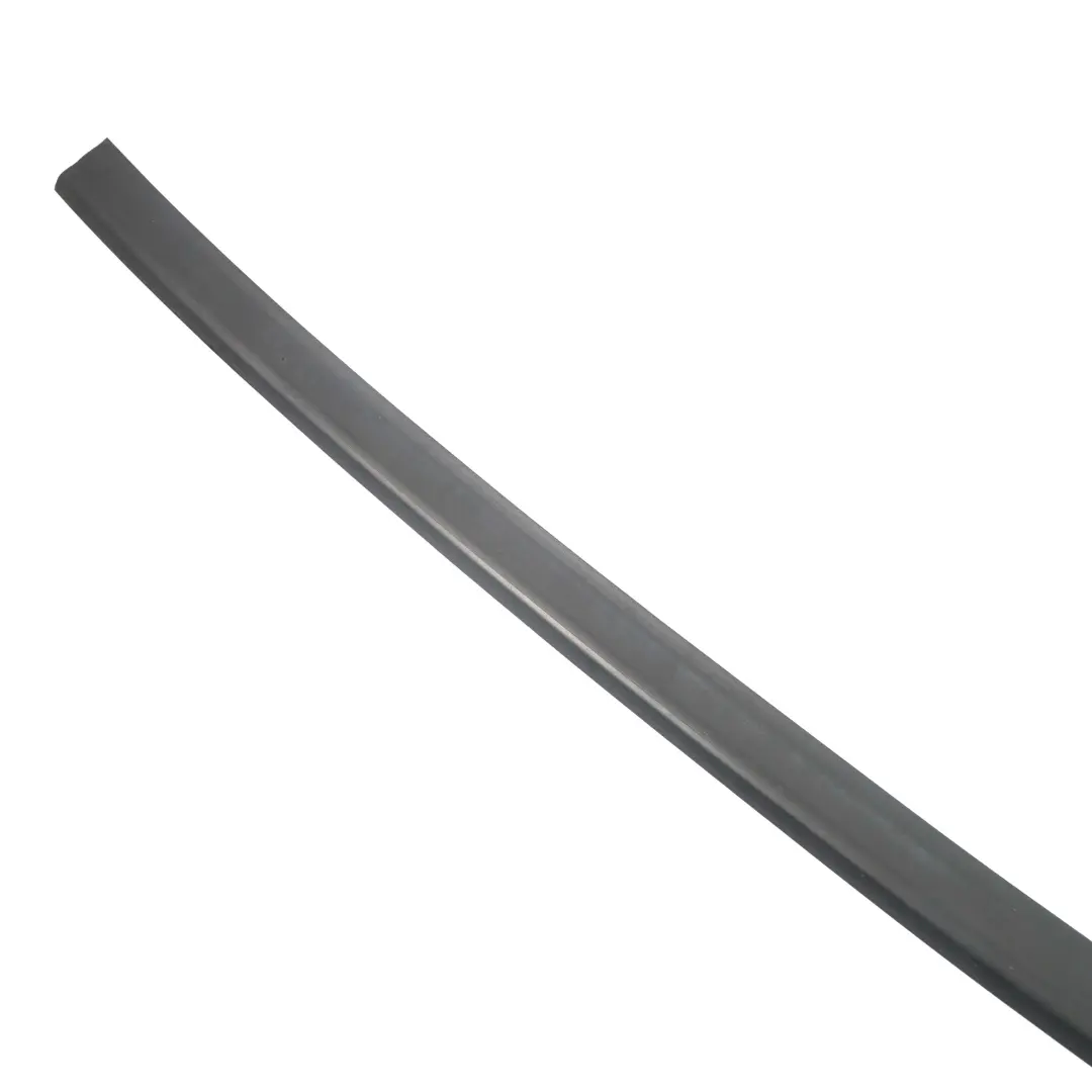 BMW 5 Series F07 GT Gran Turismo Front Left Door N/S Seal Gasket Black - SKU 7196347 - Part number 7196347