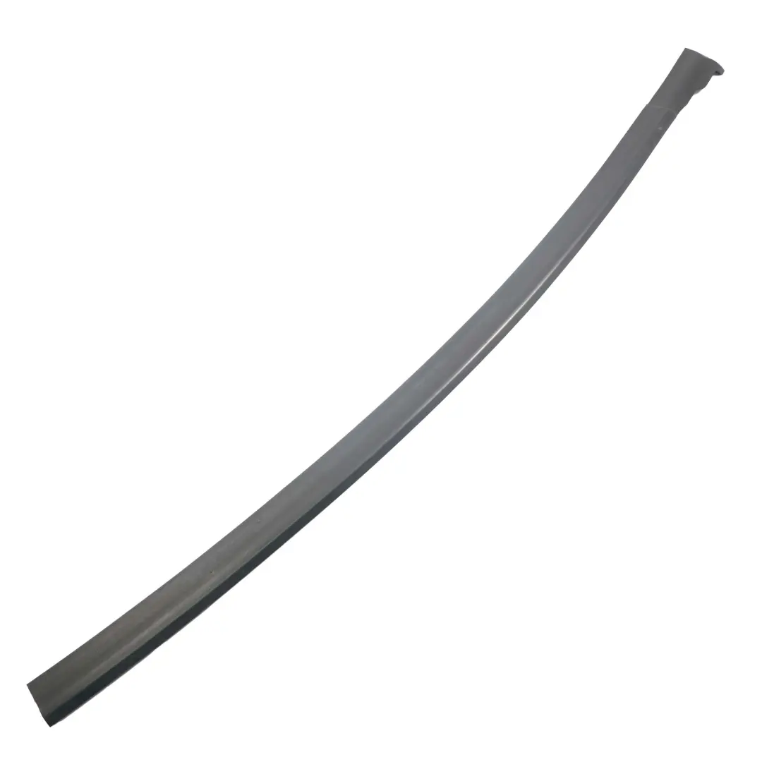 BMW 5 Series F07 GT Gran Turismo Front Left Door N/S Seal Gasket Black - SKU 7196347 - Part number 7196347