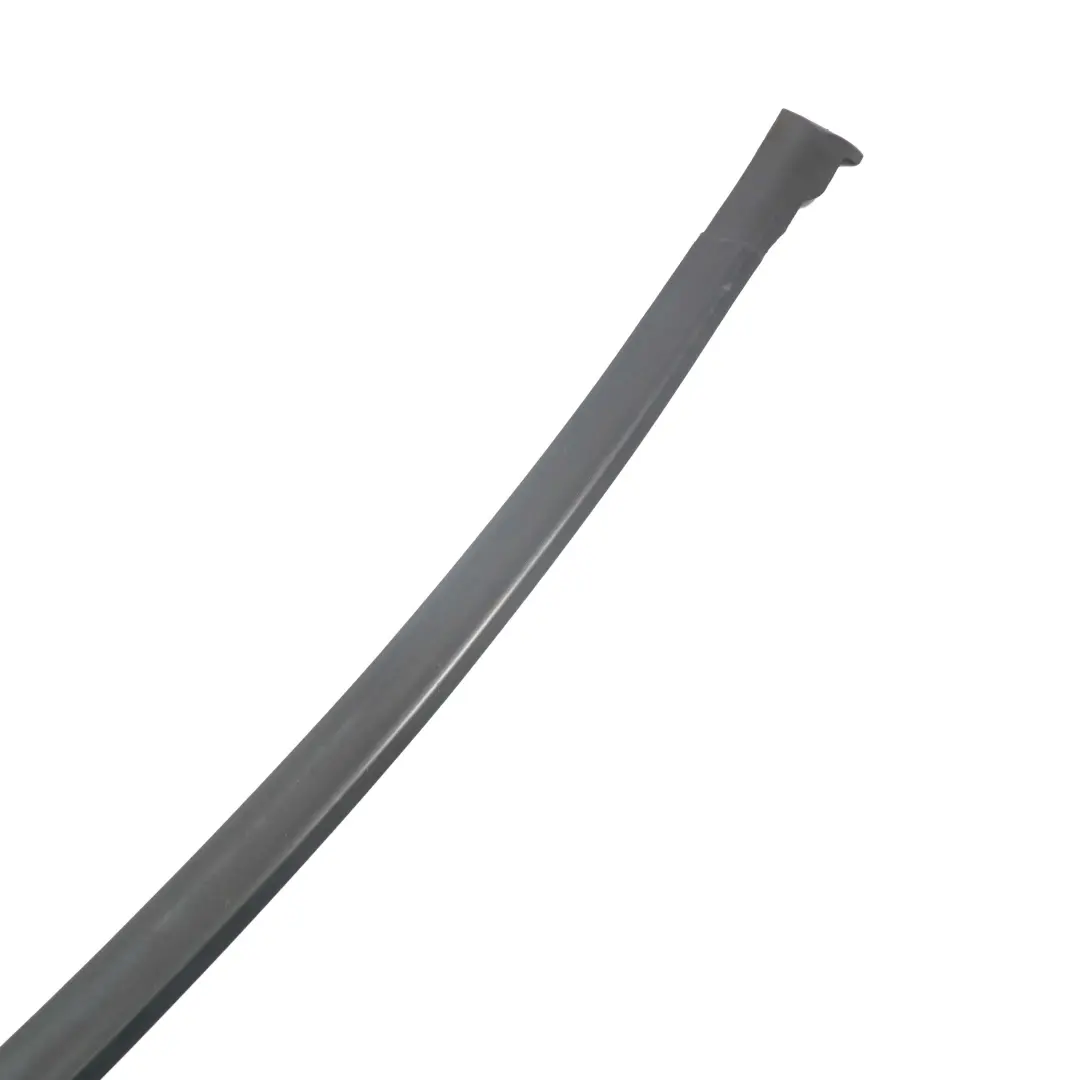BMW 5 Series F07 GT Gran Turismo Front Left Door N/S Seal Gasket Black - SKU 7196347 - Part number 7196347