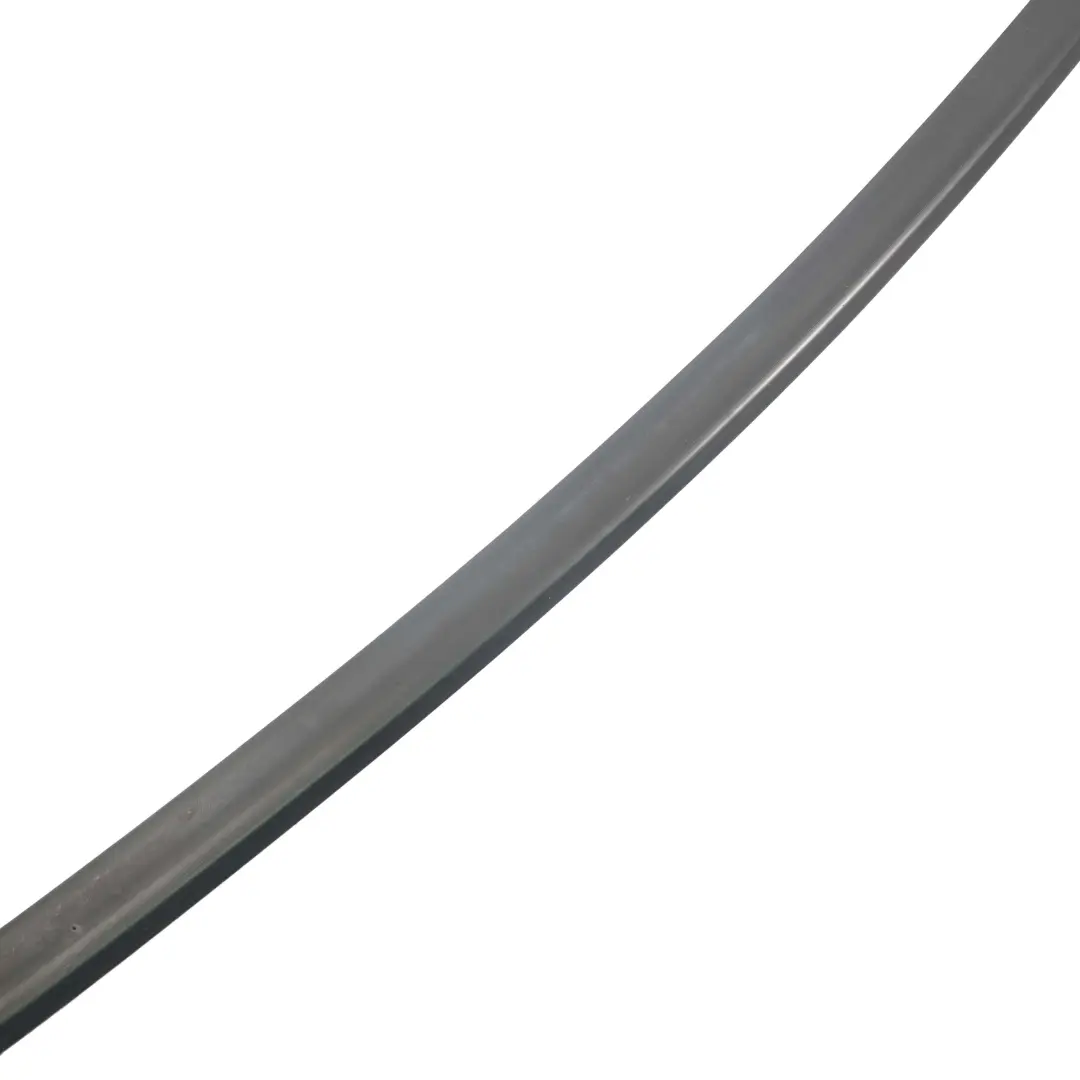 BMW 5 er F07 GT Türdichtung Rahmendichtung Vorne Links Schwarz - SKU 7196347 - Teilenummer 7196347