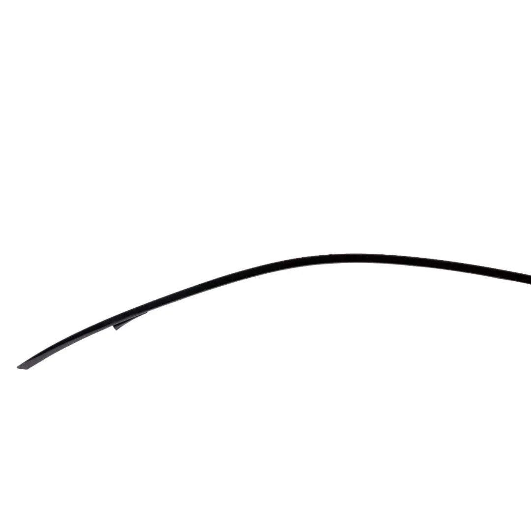  Roof Moulding Trim BMW F07 GT Left N/S Railing Gutter Strip Shadow Line Black - SKU 7196357 - Part number 7196357