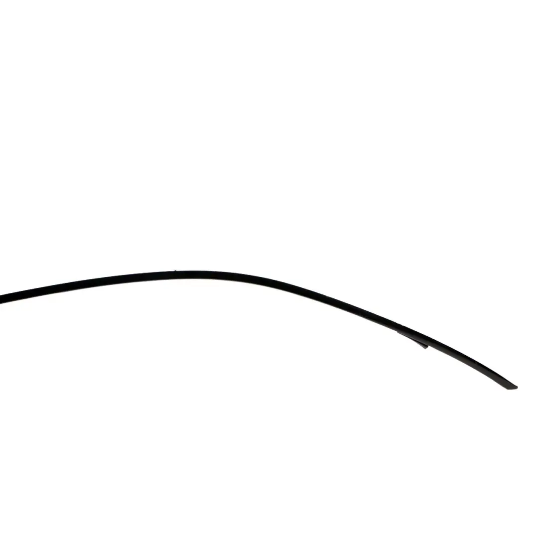  Roof Moulding Trim BMW F07 GT Right O/S Railing Gutter Strip Shadow Line Black - SKU 7196358 - Part number 7196358