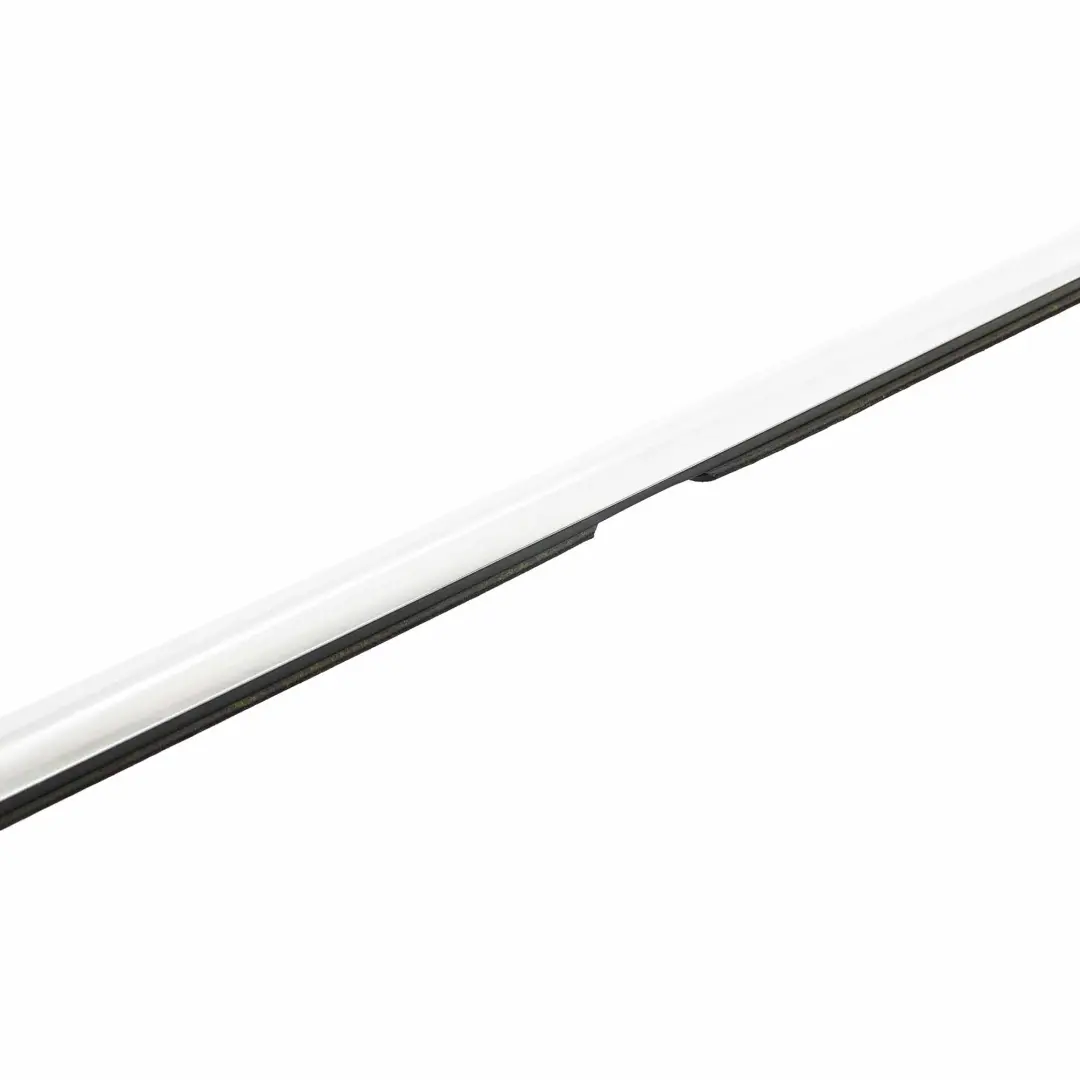 Canal Cubierta Exterior Puerta Trasera Izquierda para BMW F07 GT con número de pieza 7196391 BMW F07 GT Canal Cubierta Exterior Puerta Trasera Izquierda - SKU 7196391 - Número de pieza 7196391