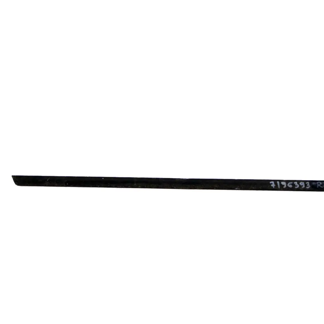 BMW 5 Series F07 GT Channel Cover Outer Door Rear Left N/S High Gloss - SKU 7196393 - Part number 7196393