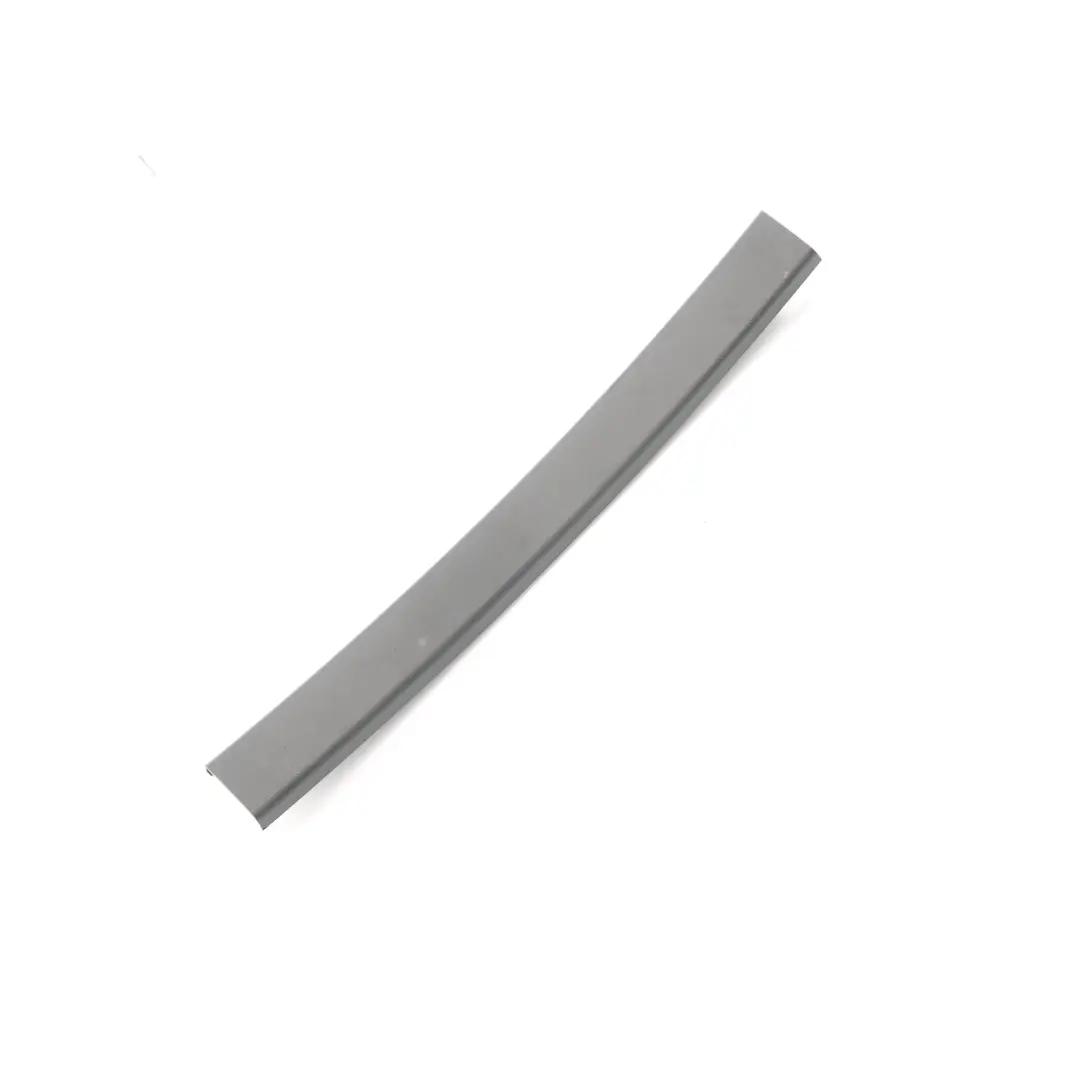  Tapa Guía Ventana BMW F11 F11N Trasera Izquierda Web Trim Negro - SKU 7199311 - Número de pieza 7199311