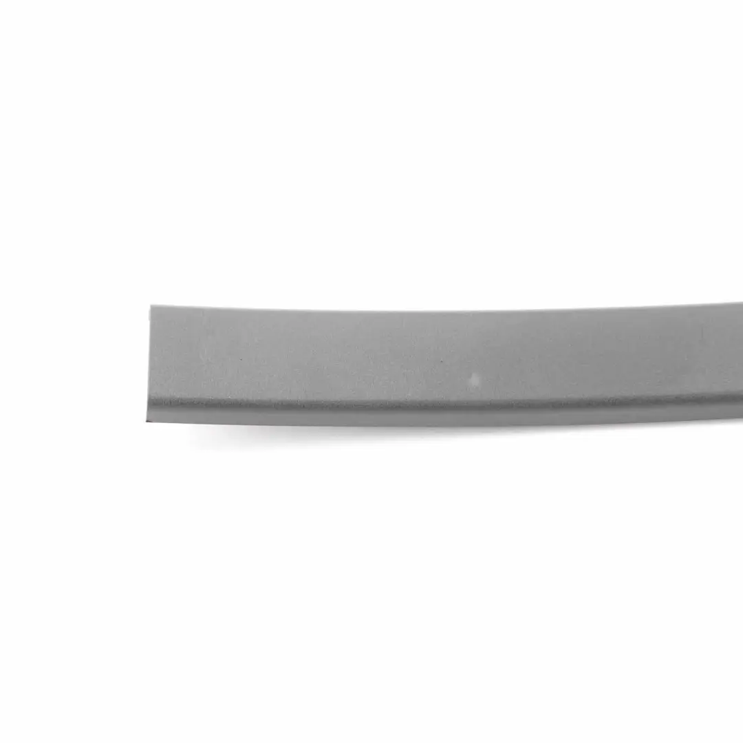  Tapa Guía Ventana BMW F11 F11N Trasera Izquierda Web Trim Negro - SKU 7199311 - Número de pieza 7199311