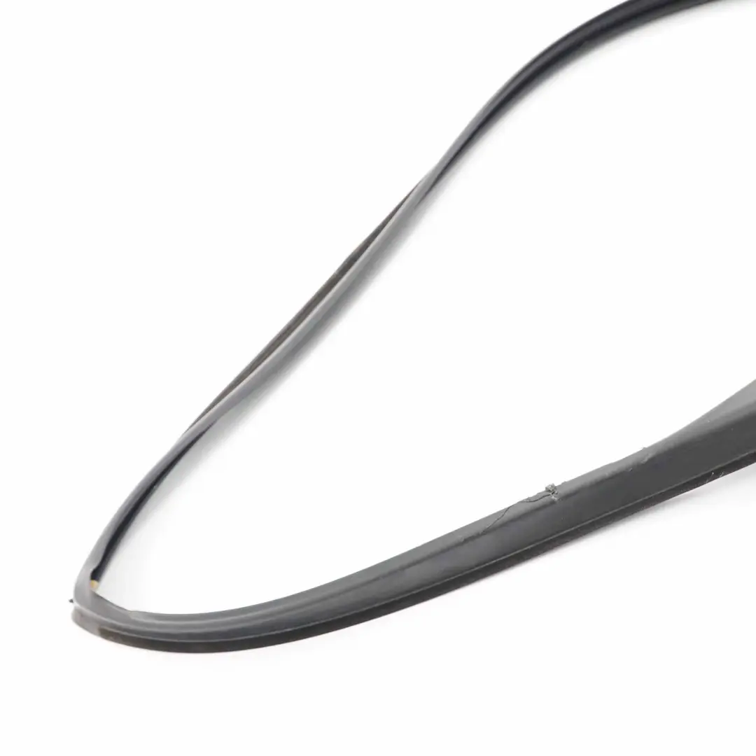 BMW F11 Touring Gasket Seal Rear Left N/S Door Joint Roof Door - SKU 7199783 - Part number 7199783