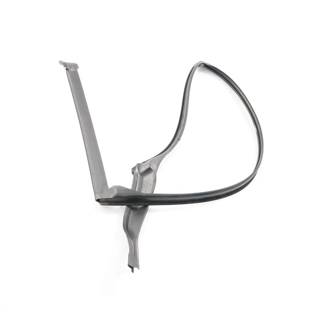 Junta Puerta Techo Puerta Trasera Derecha para BMW F11 Touring con número de pieza 7199783 BMW F11 Touring Junta Puerta Techo Puerta Trasera Derecha - SKU 7199783 - Número de pieza 7199783